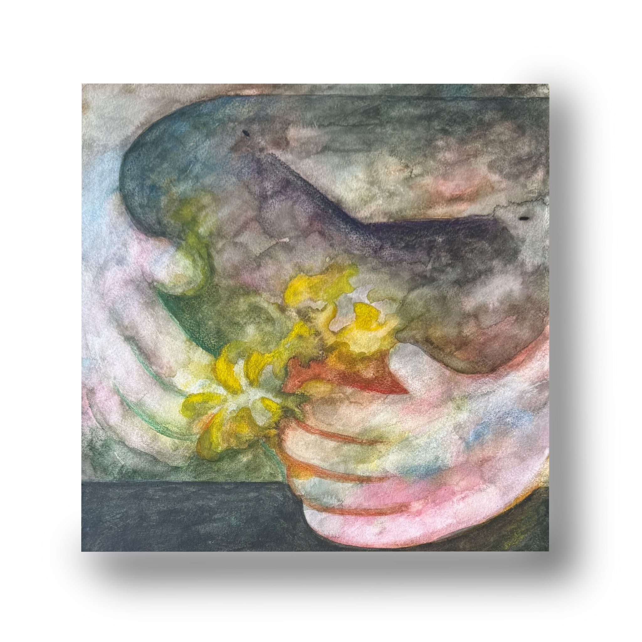 Daffodil by Brett Park