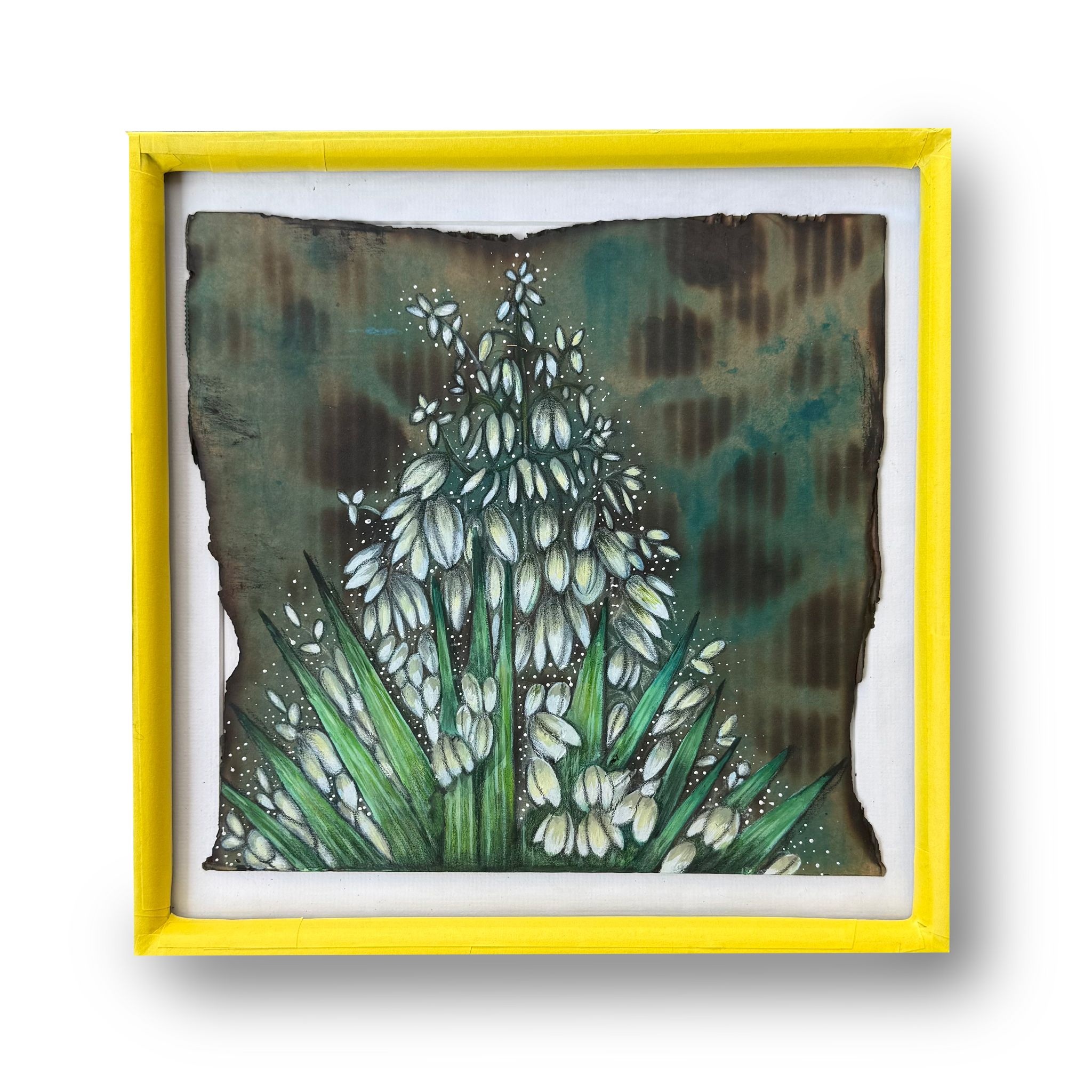Flor de Izote by Johnny Quintanilla