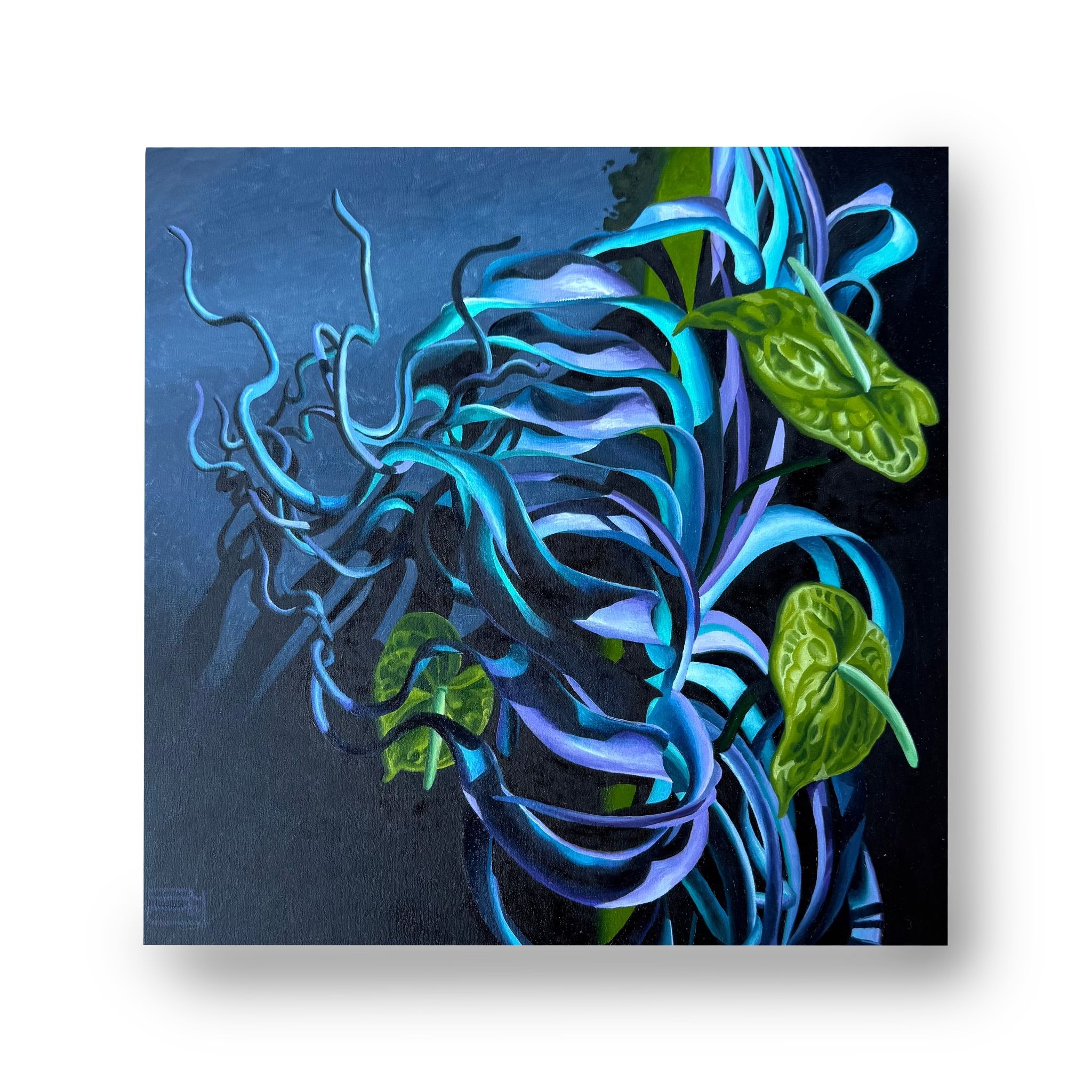 Plastic Jungle by Jordan Tacker