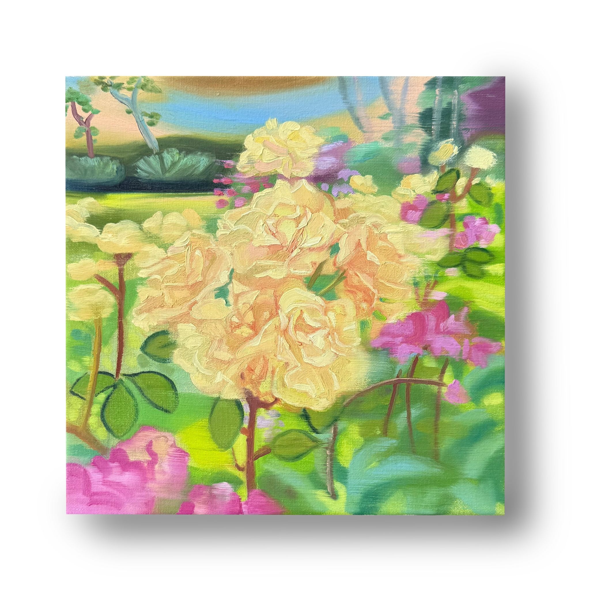 Booming Roses by Kassia Rico-Yeh