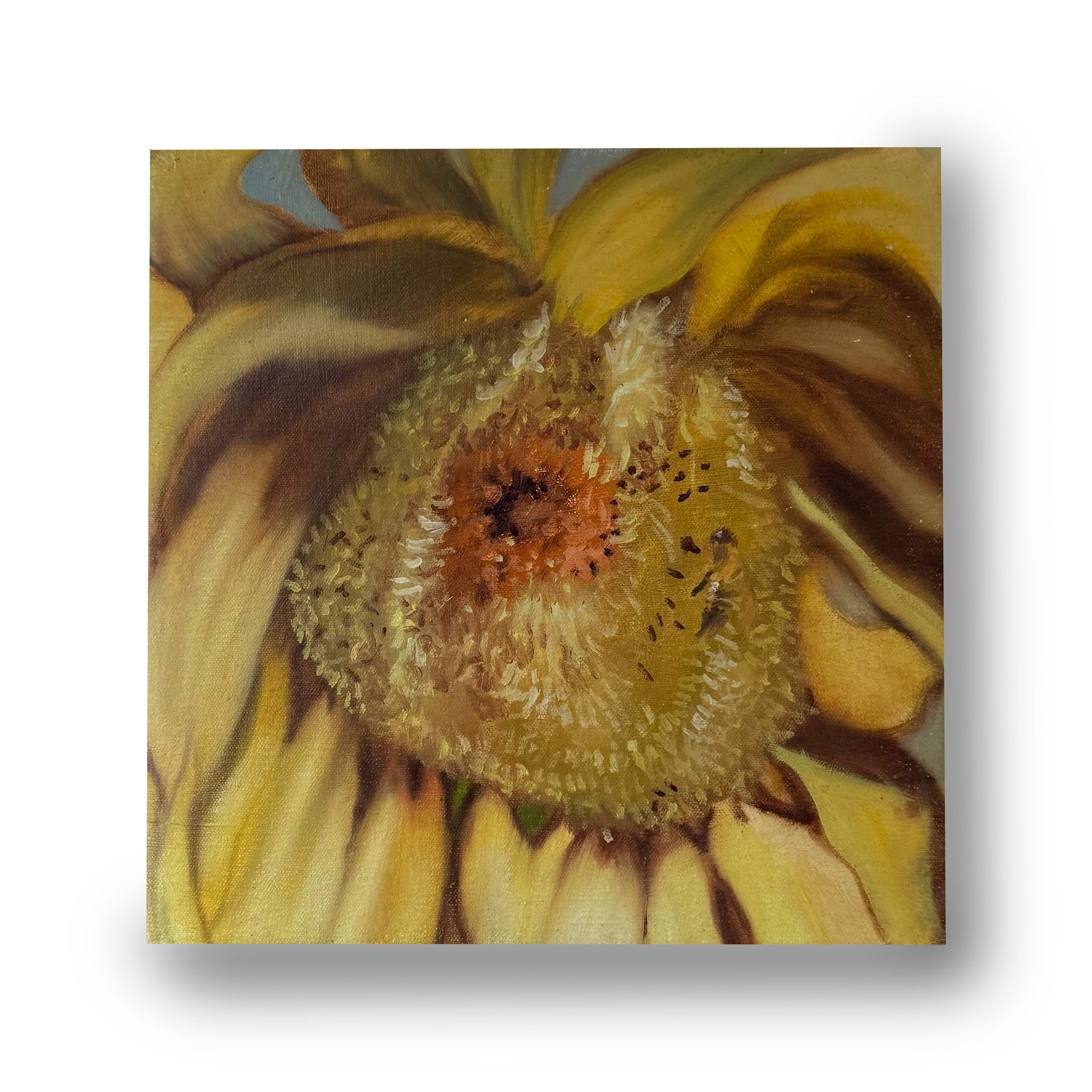The Sunflower by Mikey Coleman