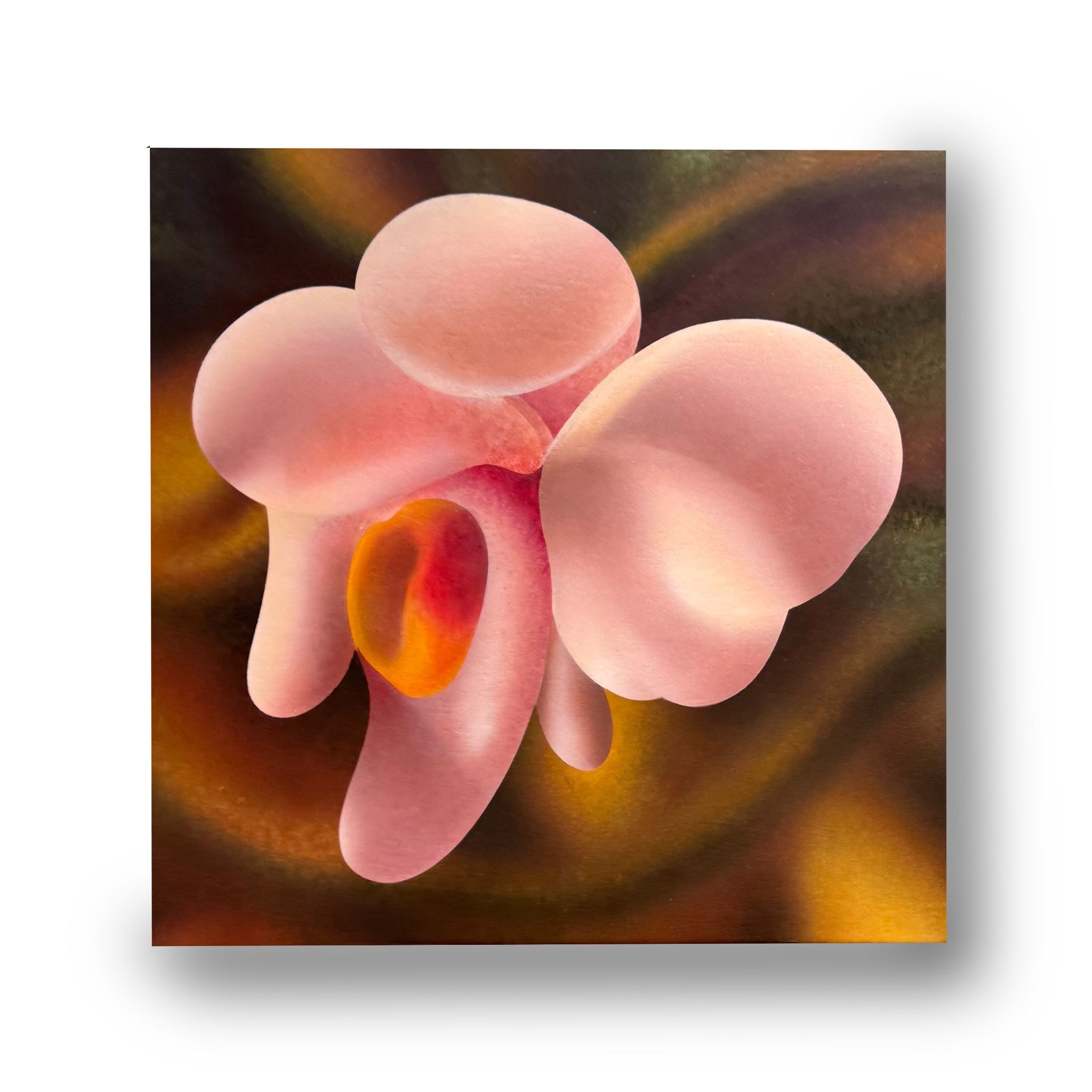 Orchid by Tim Irani